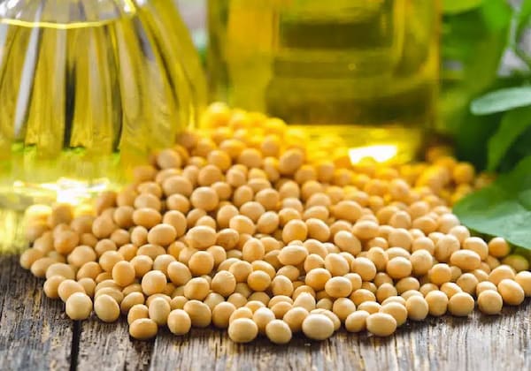 تصویر 5 از قیمت روغن نیمه جامد 5 کیلویی + خرید باور نکردنی